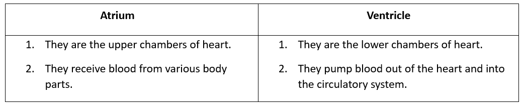 Class 7 Science Chapter 7 Question Answers - Transportation in Animals and Plants