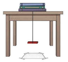 NCERT Based Activity: Exploring Magnets | Science for Class 6