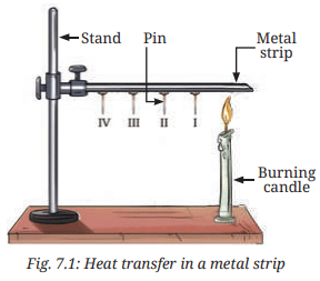 Class 7 Science Chapter 7 NCERT Based Activity - Heat Transfer in Nature