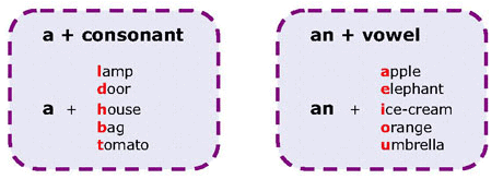 A, An or The Chapter Notes | English for Class 1 (Mridang)