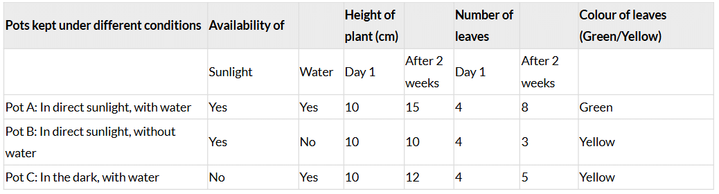 Class 7 Science Chapter 10 NCERT Based Activity - Life Processes in Plant