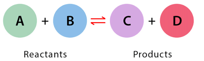 Chemical Equilibrium, Law of Mass Action & Applications | Physical Chemistry