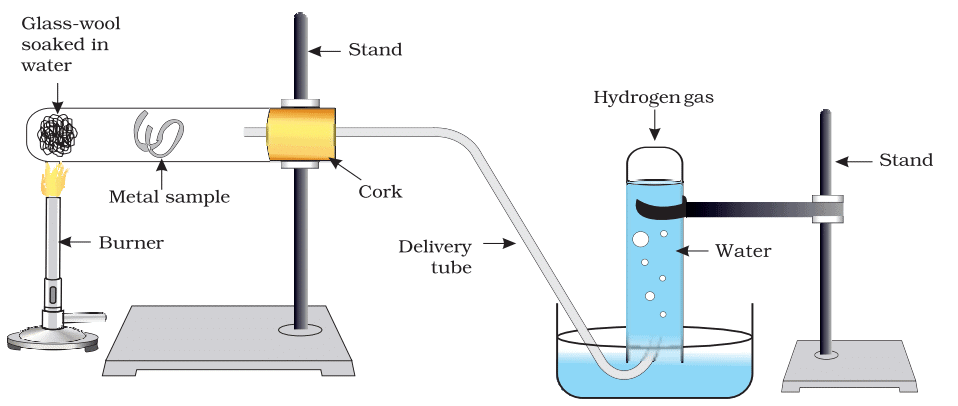 NCERT Based Activity: Metal and Non-metals | Science Class 10