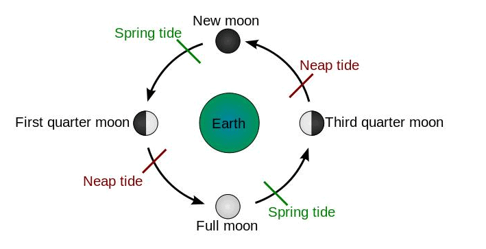 Effect of Tides