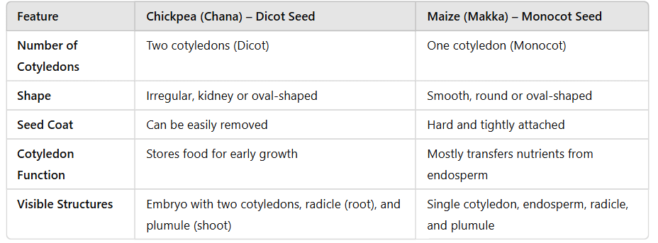 NCERT Based Activity: Diversity in the Living World | Science for Class 6