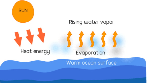 Very Short Question Answers: A Journey through States of Water | Short & Long Answer Questions for Class 6