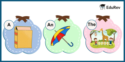 A, An or The Chapter Notes | English for Class 1 (Mridang)