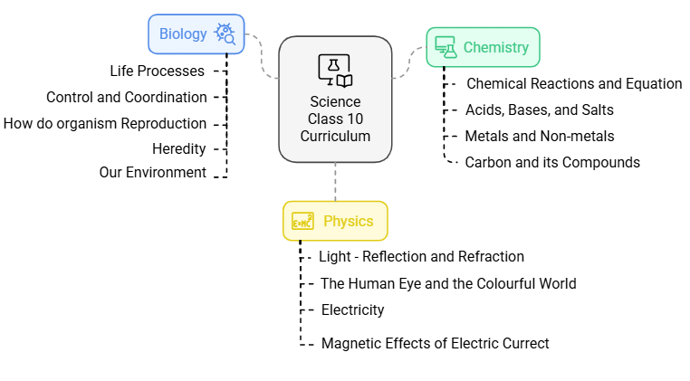 45 Days Timetable for Science Class 10 | Science Class 10