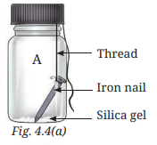 Class 7 Science Chapter 4 NCERT Based Activity - The World of Metals and Non-Metals