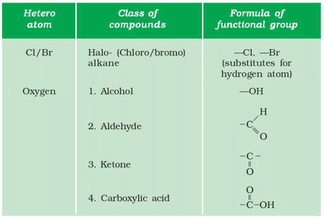 NCERT Based Activity: Carbon and its Compounds | Science Class 10