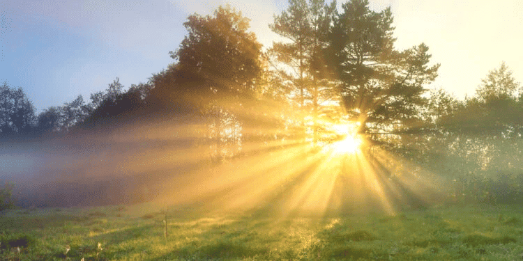 Short & Long Question Answers: Nature’s Treasures | Short & Long Answer Questions for Class 6