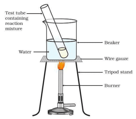 NCERT Based Activity: Carbon and its Compounds | Science Class 10