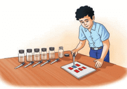 Class 7 Science Chapter 2 NCERT Based Activity - Exploring Substances: Acidic, Basic and Neutral