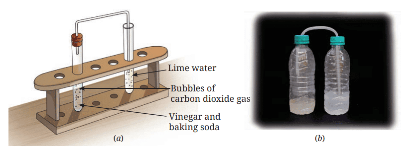 Class 7 Science Chapter 5 NCERT Based Activity - Changes Around Us: Physical and Chemical
