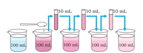NCERT Based Activity: Matter in Our Surroundings | Science Class 9