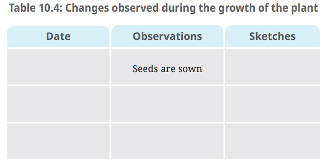 NCERT Based Activity: सजीव— विशेषताओं का अन्वेषण | विज्ञान (जिज्ञासा) कक्षा 6 - Class 6