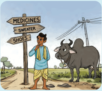 Class 7 Social Science Chapter 11 Let`s Explore - From Barter to Money