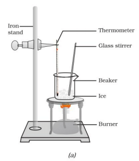NCERT Based Activity: Matter in Our Surroundings | Science Class 9