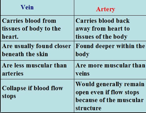 Transportation in Animals and Plants Class 7 Notes Science Chapter 7