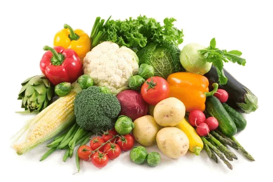 Components of Food Class 6 Worksheet Science Chapter 1