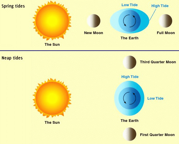 NCERT Solutions for Class 7 Social Science - Water