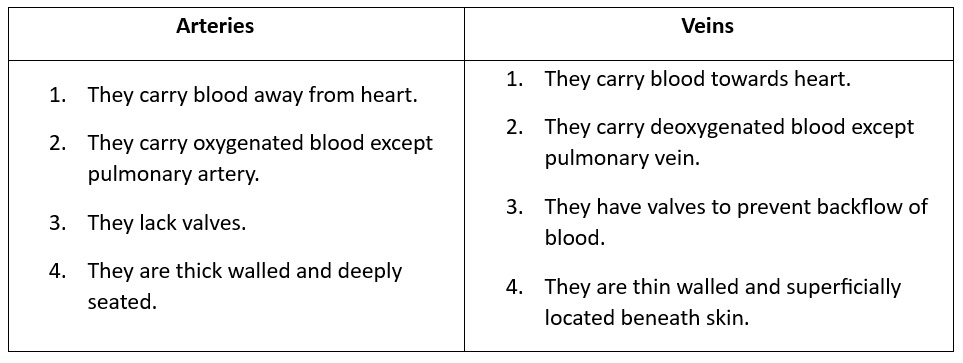 Class 7 Science Chapter 7 Question Answers - Transportation in Animals and Plants