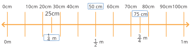 NCERT Solutions for Class 4 Maths Chapter 6 - Measuring Length