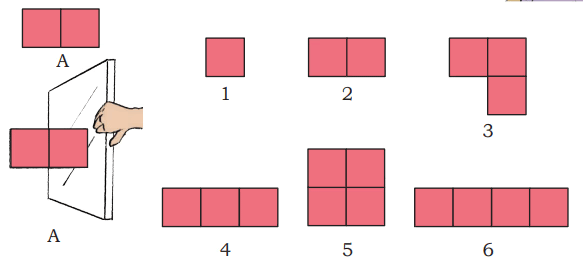 NCERT Solutions for Class 4 Maths Chapter 11 - Fun with Symmetry