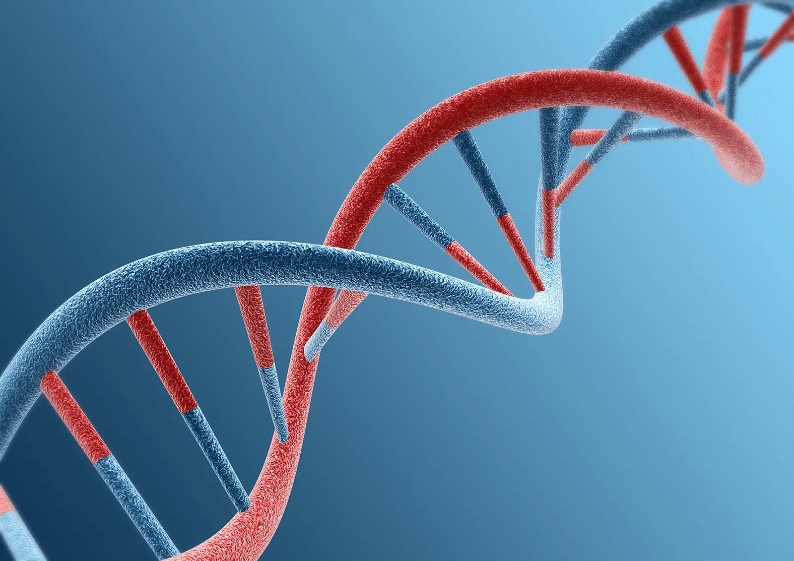 DNA (Deoxyribonucleic Acid)