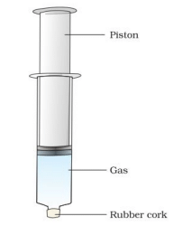 NCERT Based Activity: Matter in Our Surroundings | Science Class 9