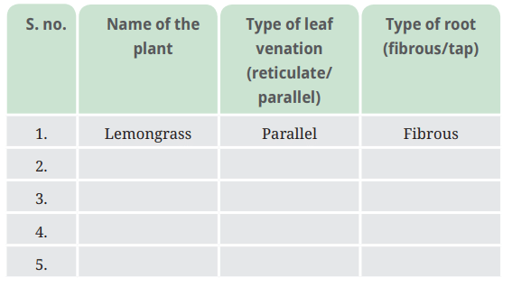 NCERT Based Activity: Diversity in the Living World | Science for Class 6