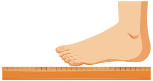 Short & Long Question Answers: Measurement of Length and Motion | Short & Long Answer Questions for Class 6