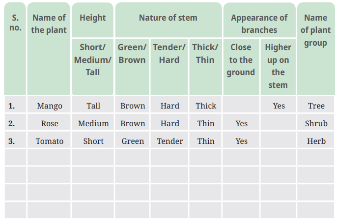 NCERT Based Activity: Diversity in the Living World | Science for Class 6