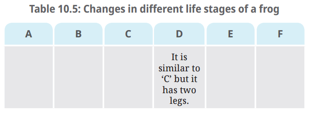 NCERT Based Activity: सजीव— विशेषताओं का अन्वेषण | विज्ञान (जिज्ञासा) कक्षा 6 - Class 6