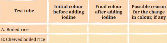 Class 7 Science Chapter 9 NCERT Based Activity - Life Processes in Animals