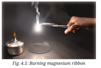 Class 7 Science Chapter 4 NCERT Based Activity - The World of Metals and Non-Metals