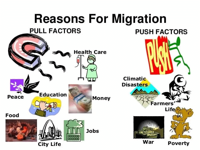 Class 9 Geography Chapter 6 Notes - Population