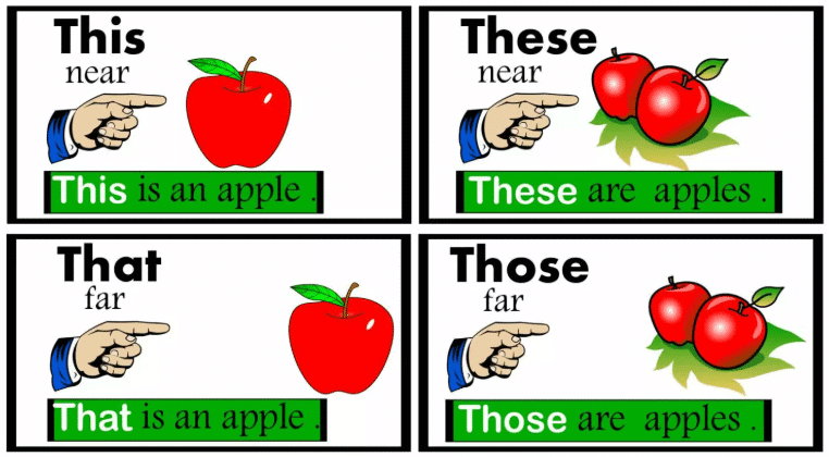 This, That, These, and Those Chapter Notes | English for Class 1 (Mridang)
