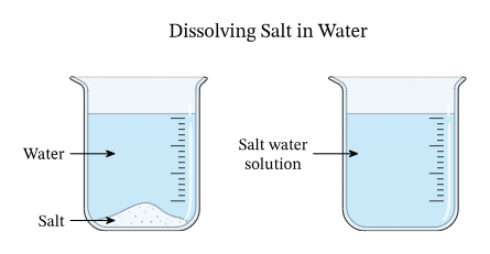MCQ & Extra Questions: Materials Around Us | Science Class 6