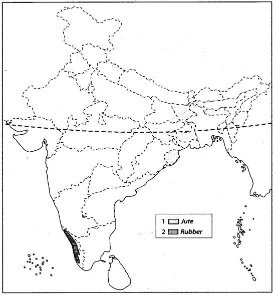 Map Based Questions: Agriculture | Social Studies (SST) Class 10