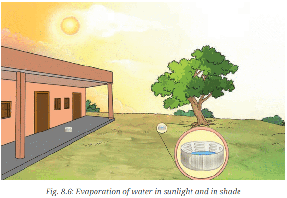 Activity 8.8: Let us explore