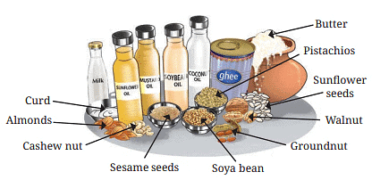 NCERT Summary: Mindful Eating: A Path to a Healthy Body | Science for Class 6