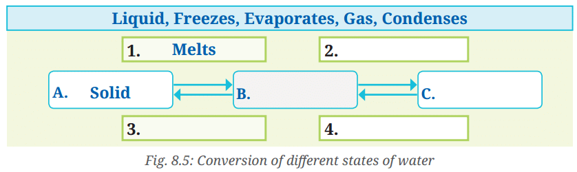 Activity 8.6: Let us complete the diagram