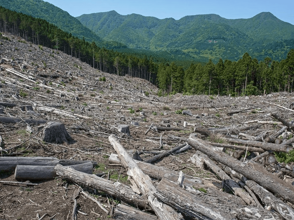 Class 9 History Chapter 4 Notes - Forest Society and Colonialism