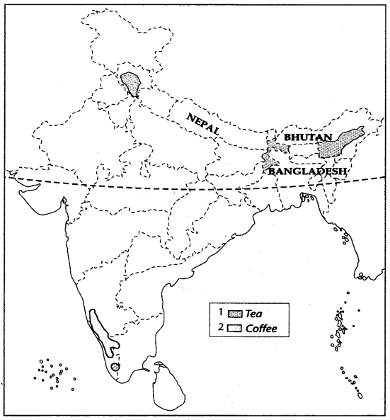 Map Based Questions: Agriculture | Social Studies (SST) Class 10