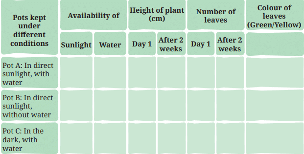 Class 7 Science Chapter 10 NCERT Based Activity - Life Processes in Plant