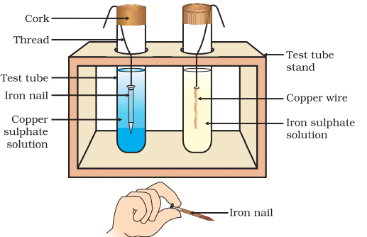 NCERT Based Activity: Metal and Non-metals | Science Class 10