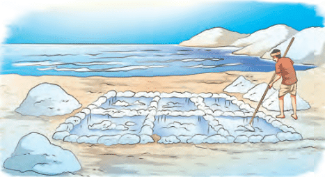 Diagram Based Questions: Methods of Separation in Everyday Life | Science for Class 6