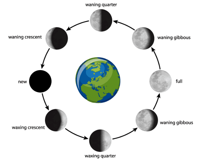 Phases of Moon