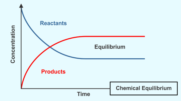 State of Chemical Equilibrium